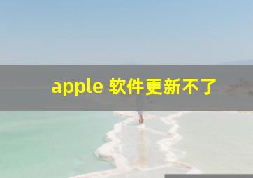 apple 软件更新不了